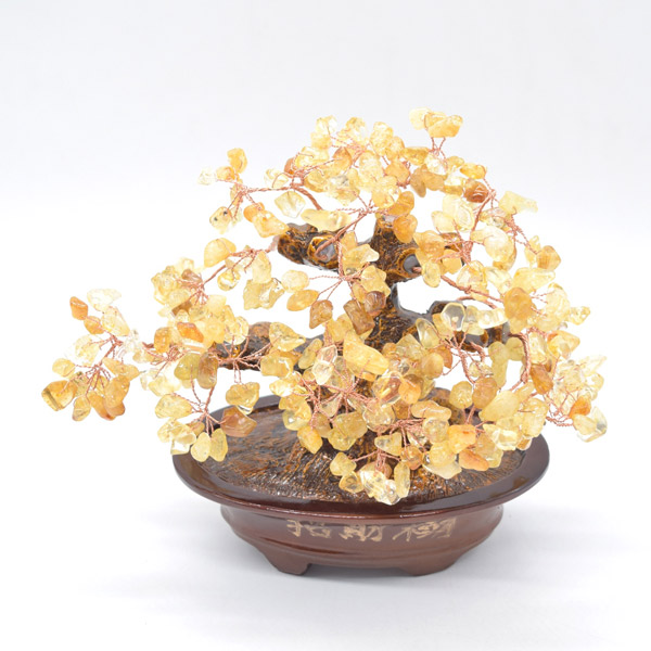 シトリンの招財樹